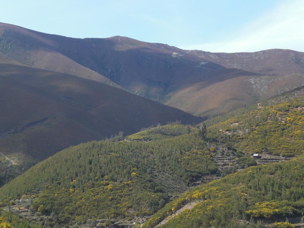 הוילה Sobral de Sao Miguel Casa Da Sobreira מראה חיצוני תמונה